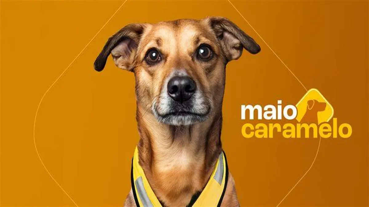 Honda substitui Maio Amarelo por ‘Maio Caramelo’ em nova campanha