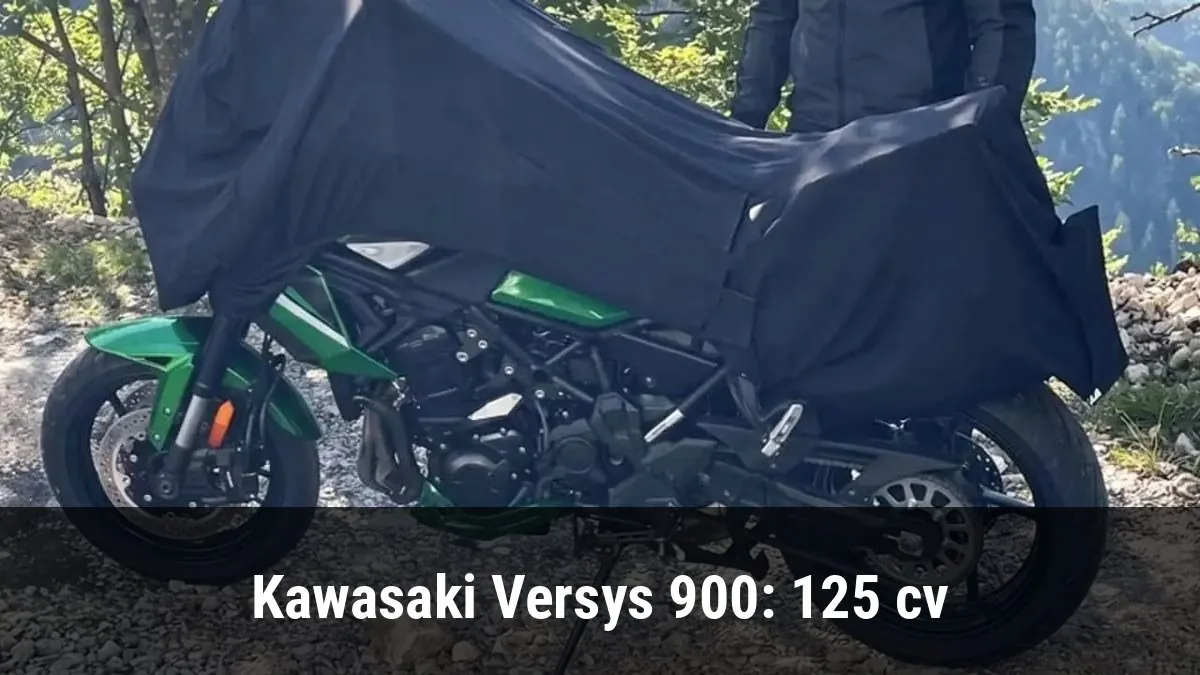Kawasaki Versys 900: 125 cv