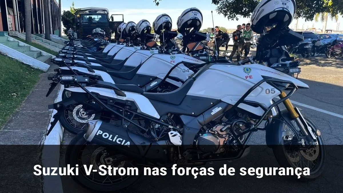 Suzuki V-Strom nas forças de segurança