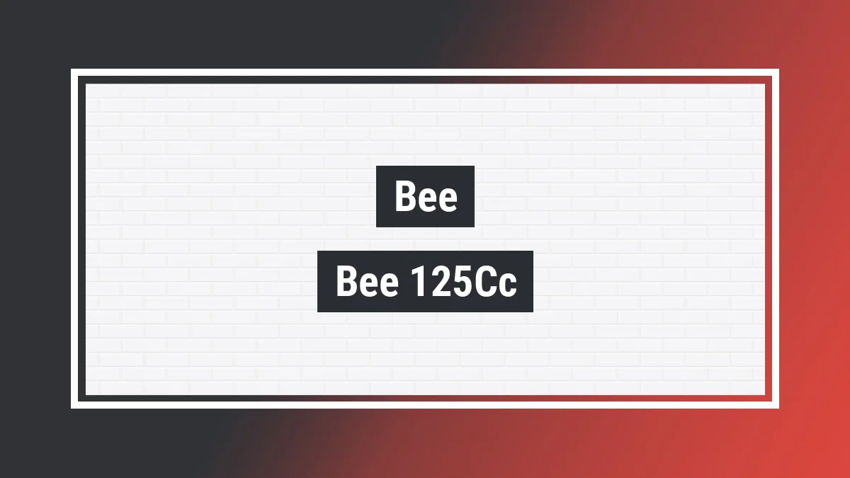 Imagem ilustrativa modelo Bee 125cc Monaco Bee