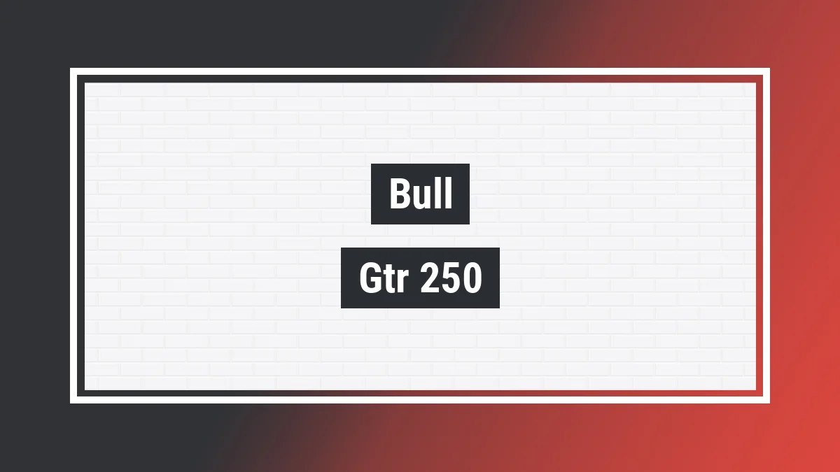 Imagem ilustrativa modelo Gtr 250 Bull