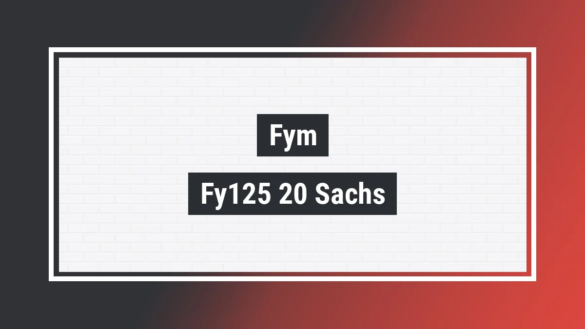 Imagem ilustrativa modelo Fy125-20 Sachs 125cc Fym