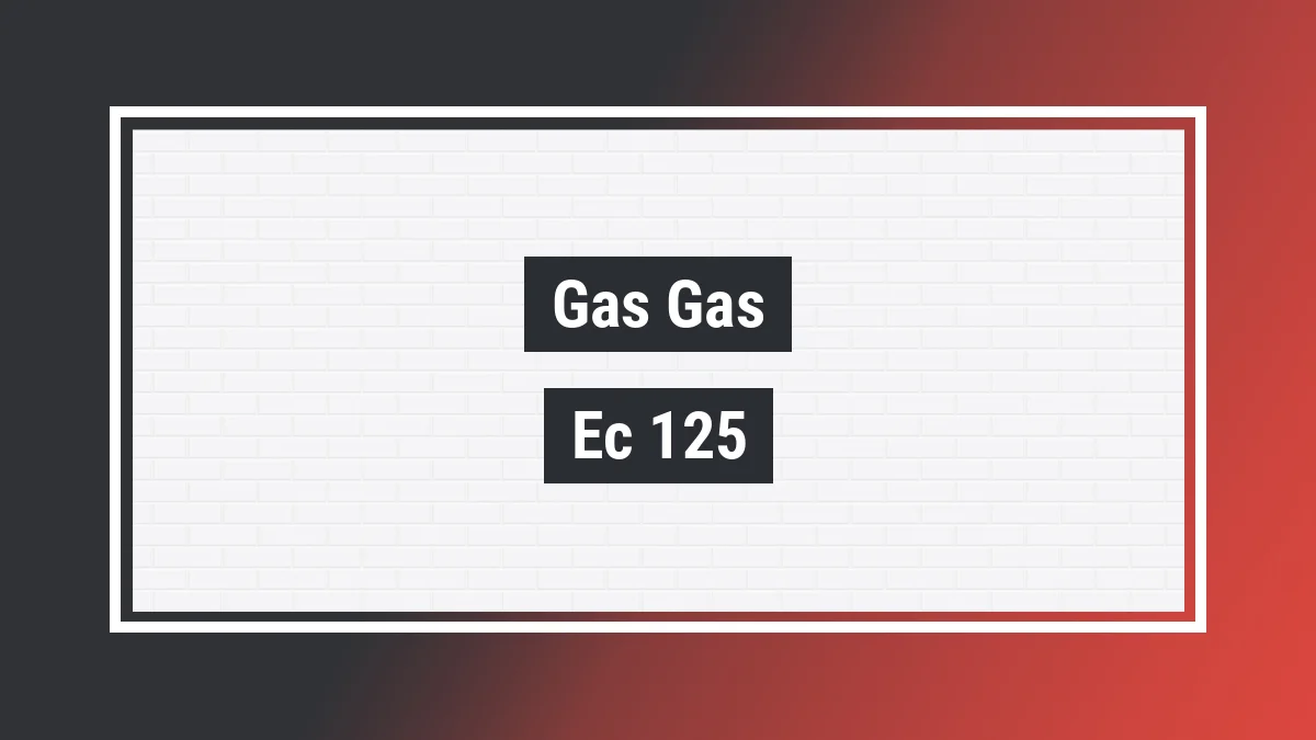 Imagem ilustrativa modelo Ec 125 Enducross Gas Gas