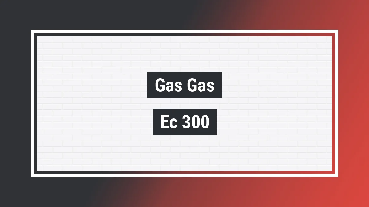 Imagem ilustrativa modelo Ec 300 Enducross Gas Gas