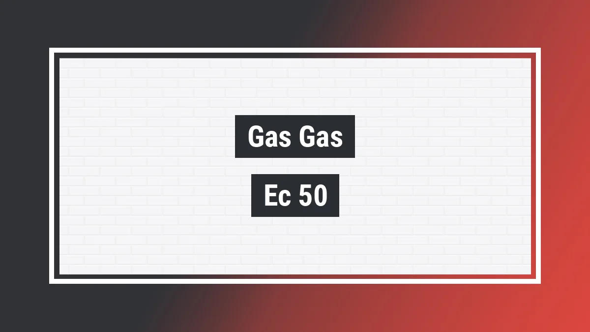 Imagem ilustrativa modelo Ec 50 Rookie Enduro Gas Gas