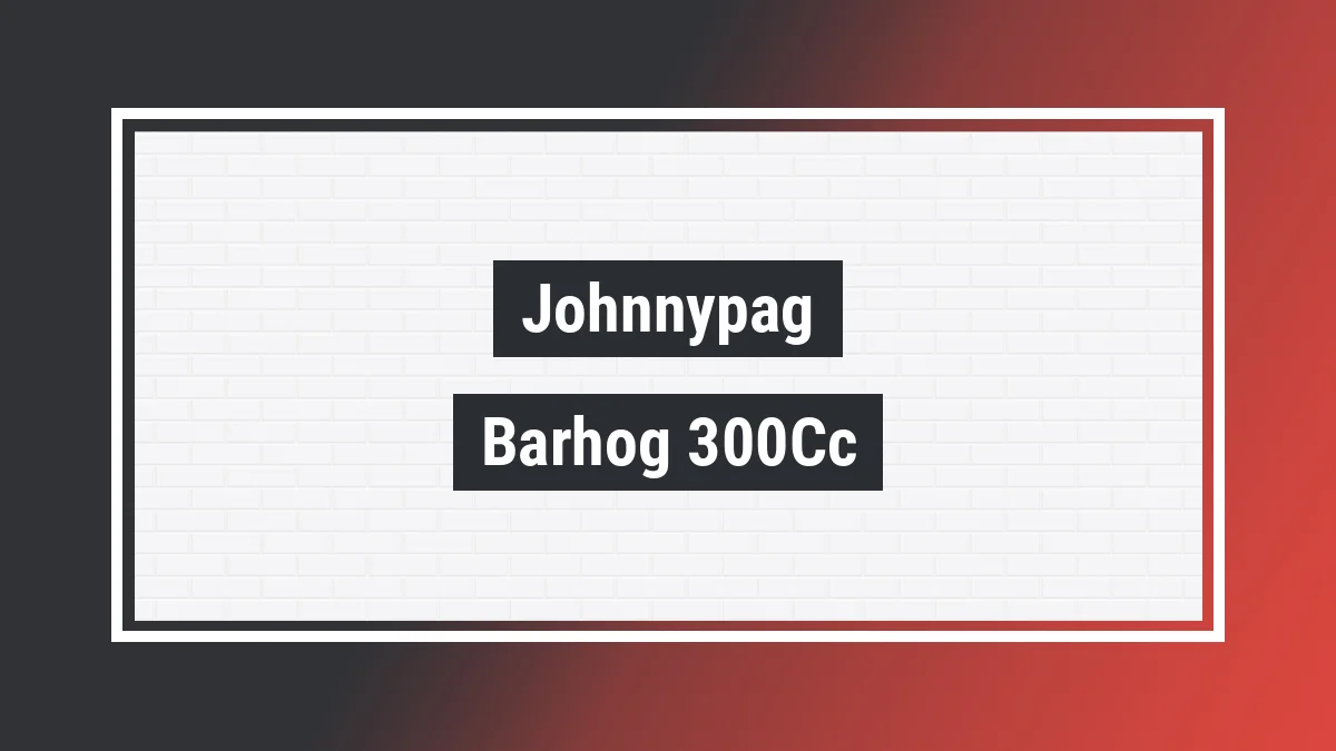 Imagem ilustrativa modelo Barhog 300cc Johnnypag