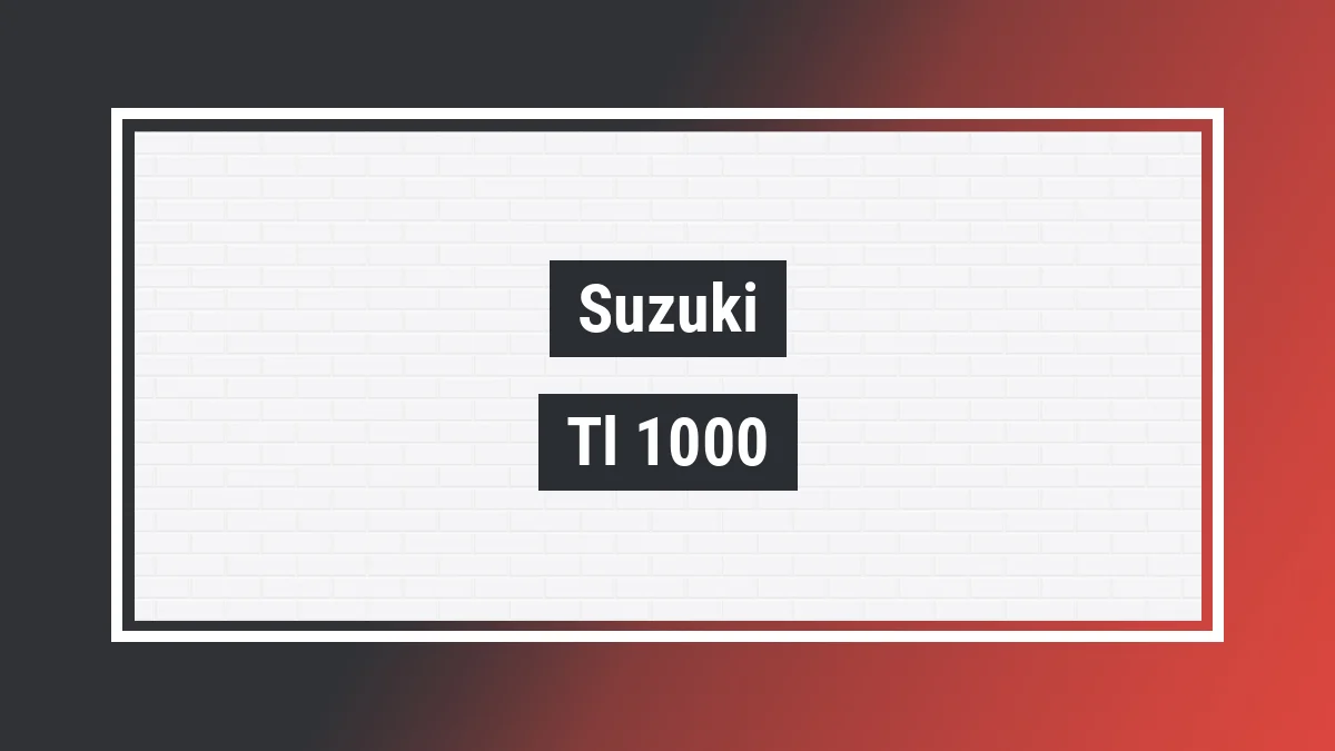 Imagem ilustrativa modelo Tl 1000 S Suzuki