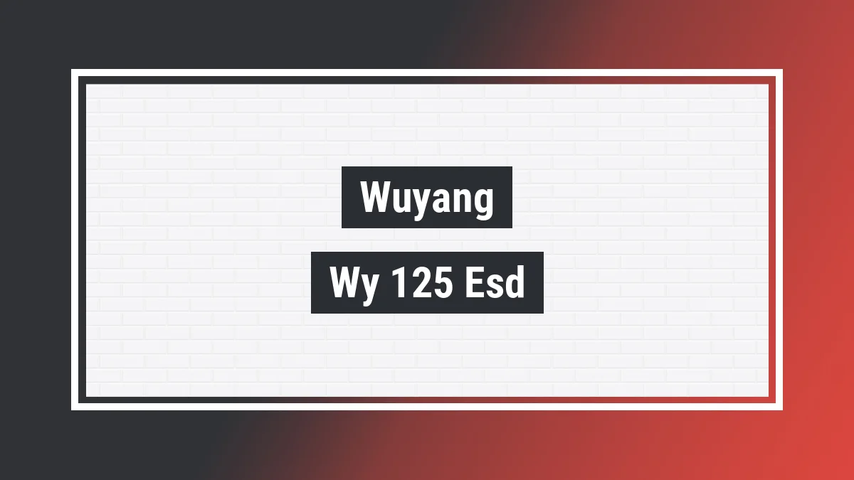 Imagem ilustrativa modelo Wy 125-esd Wuyang