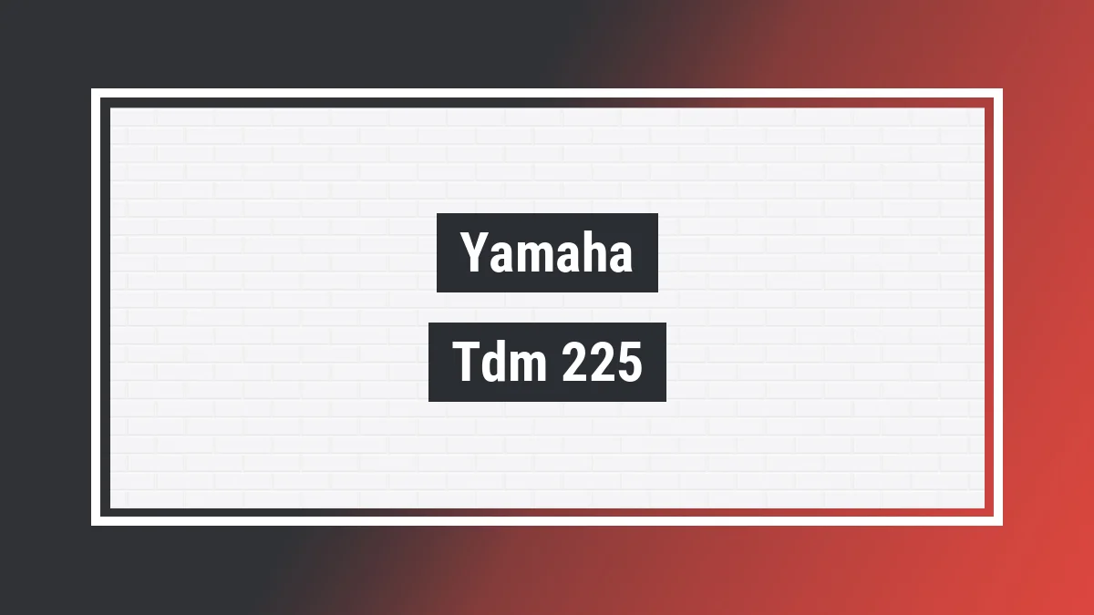 Imagem ilustrativa modelo Tdm 225 Yamaha