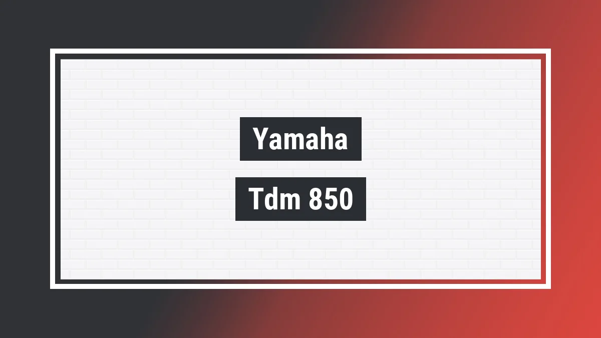 Imagem ilustrativa modelo Tdm 850 Yamaha