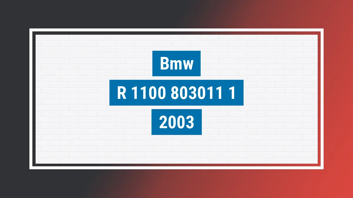 Imagem ilustrativa Bmw R 1100 S 2003