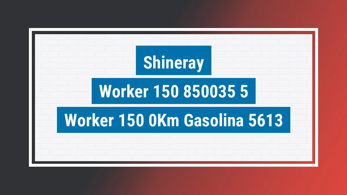Imagem ilustrativa Shineray Worker 150 0km