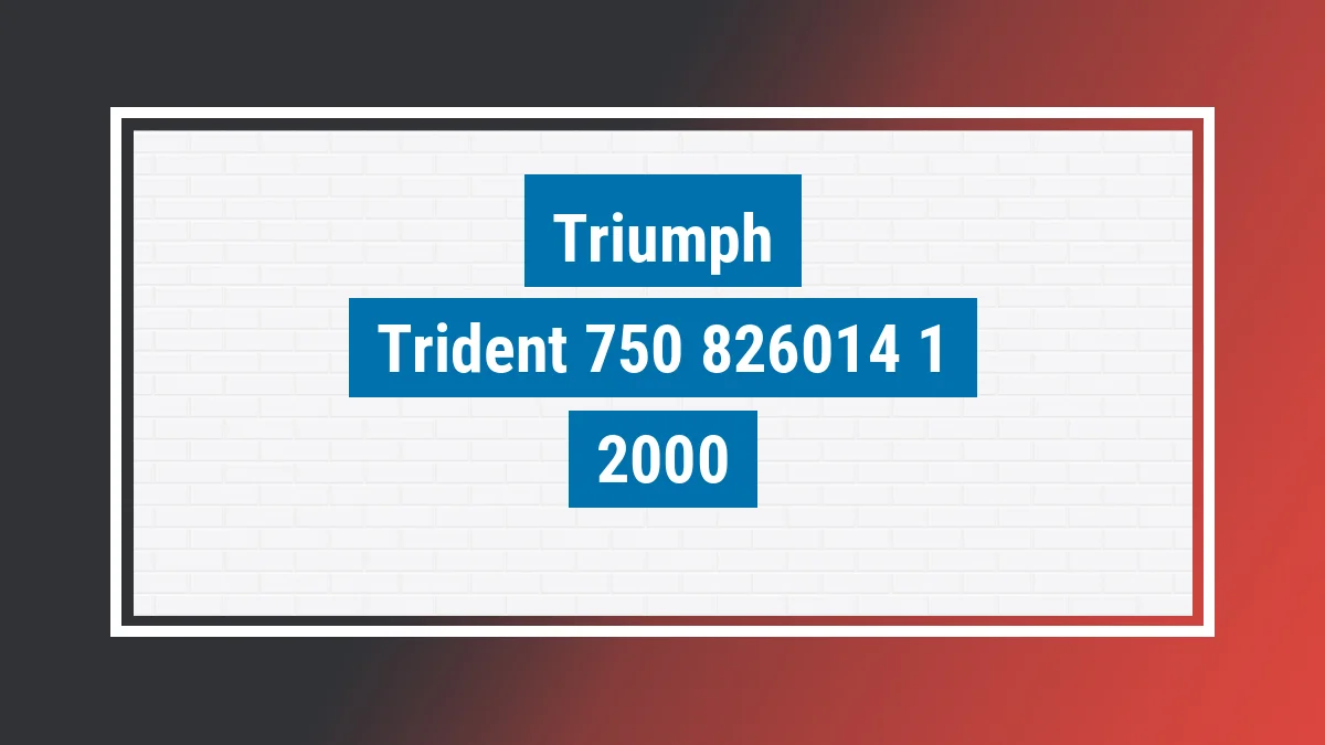 Imagem ilustrativa Triumph Trident 750 2000