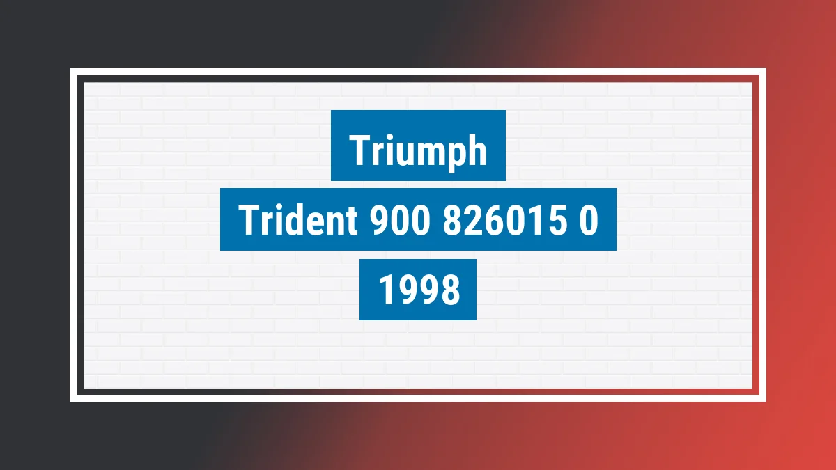 Imagem ilustrativa Triumph Trident 900 1998