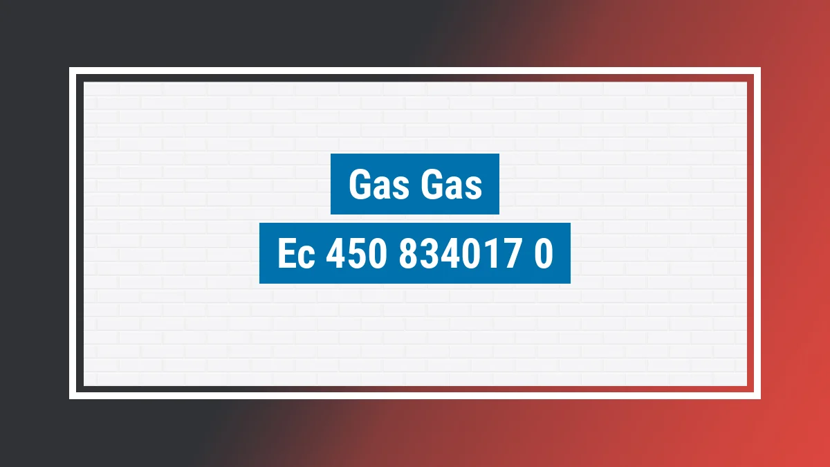 Imagem ilustrativa modelo Ec 450 Fse Fsr Enducross Gas Gas